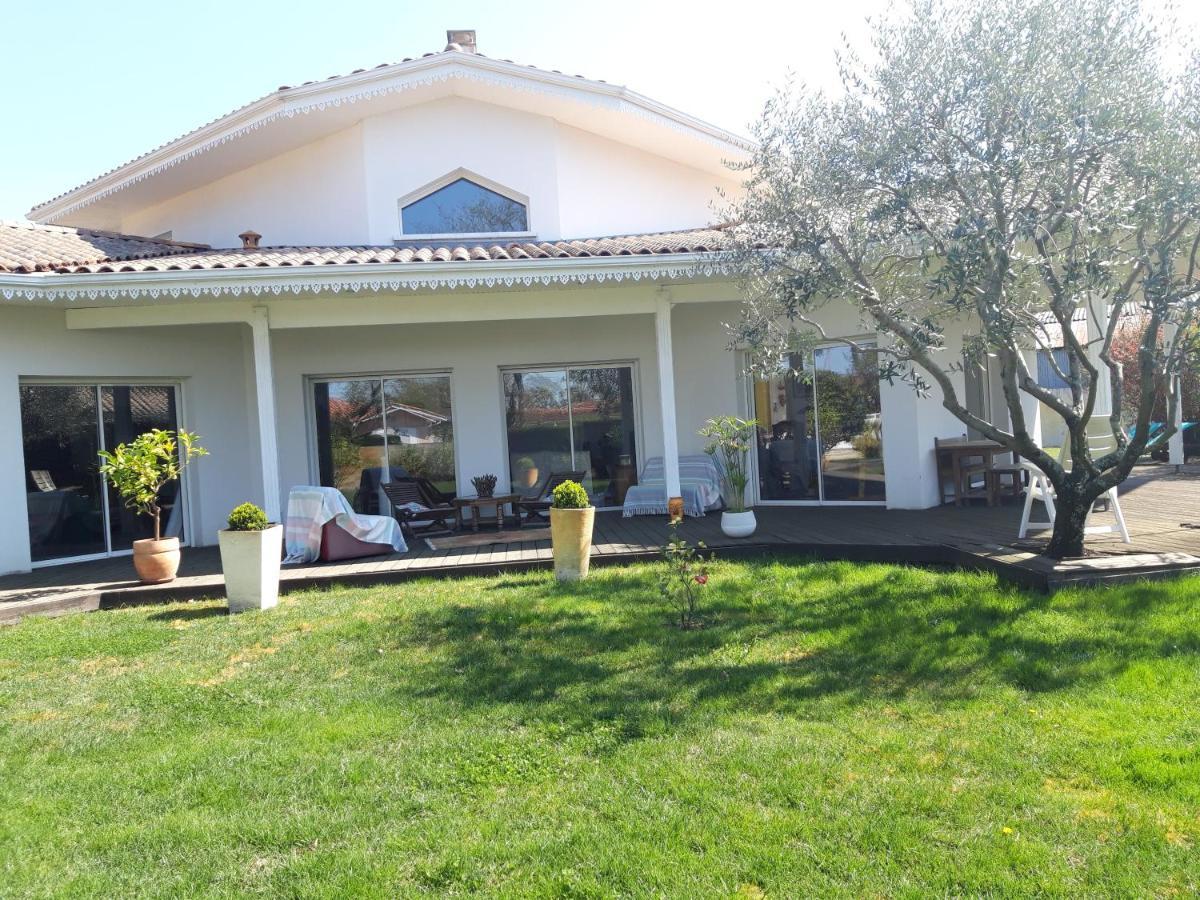 Agreable Maison Sur Le Bassin D'Arcachon Andernos-les-Bains Bagian luar foto