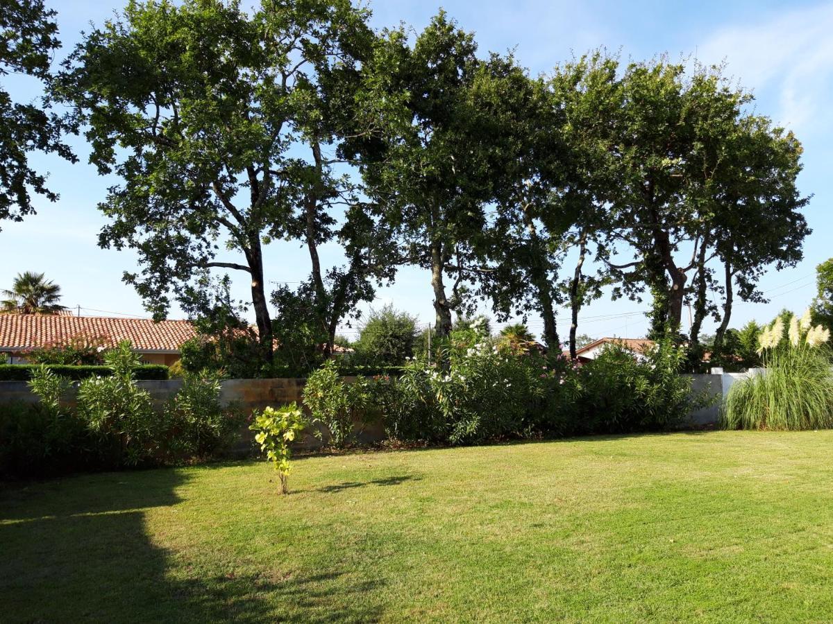 Agreable Maison Sur Le Bassin D'Arcachon Andernos-les-Bains Bagian luar foto